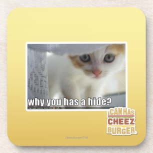 Why you has a hide? coaster