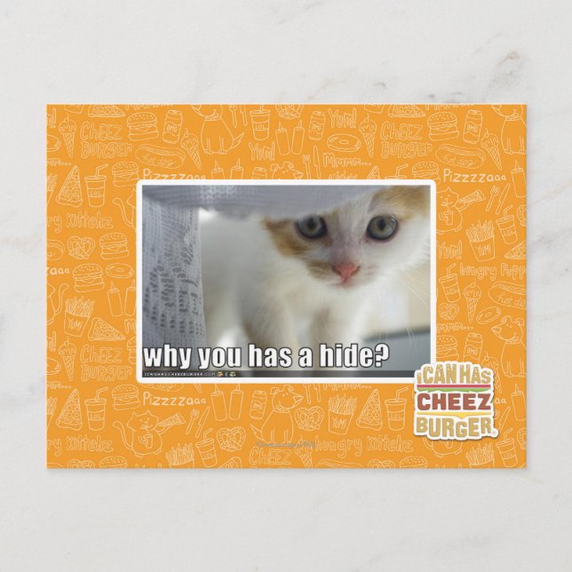 Why you has a hide? postcard (Front)