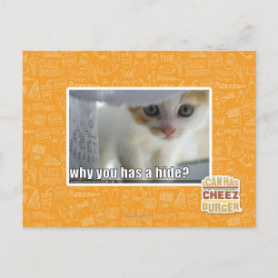 Why you has a hide? postcard