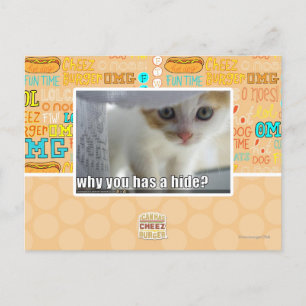 Why you has a hide? postcard