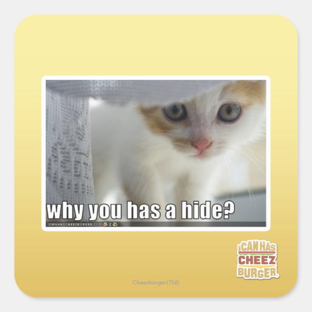 Why you has a hide? square sticker (Front)