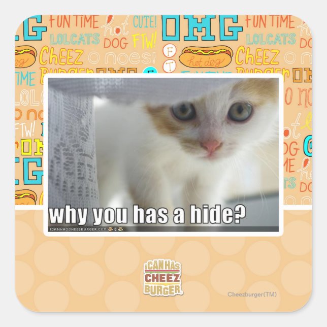 Why you has a hide? square sticker (Front)