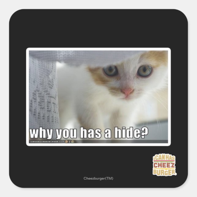 Why you has a hide? square sticker (Front)
