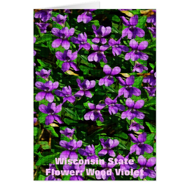 WI State Flower Wood Violet Mosaic Pattern (Front)