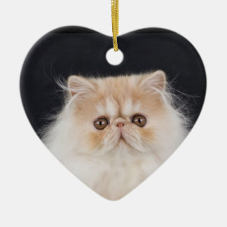 WiccaCats Meira heart ornament