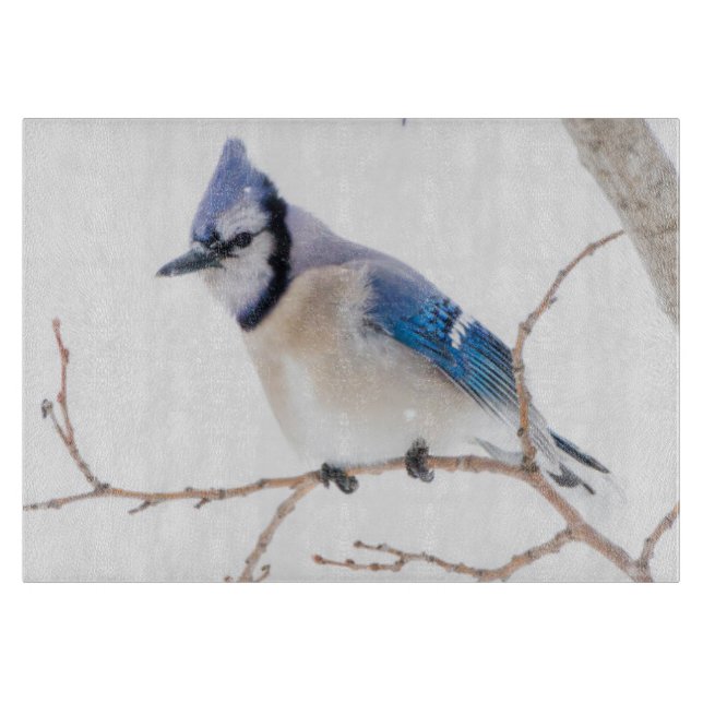 Wichita County, Texas. Blue Jay Cutting Board (Front)