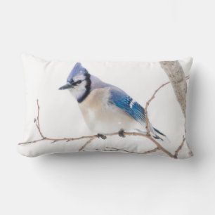 Wichita County, Texas. Blue Jay Lumbar Cushion