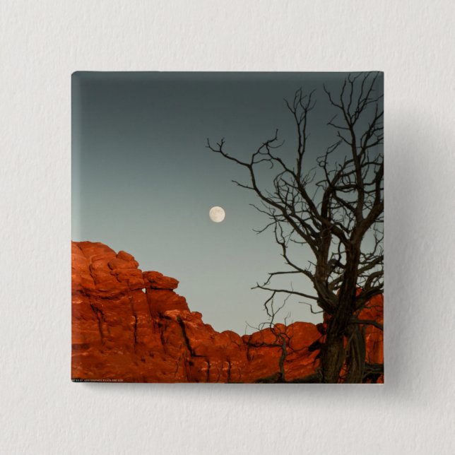 Wicked Moon 15 Cm Square Badge (Front)