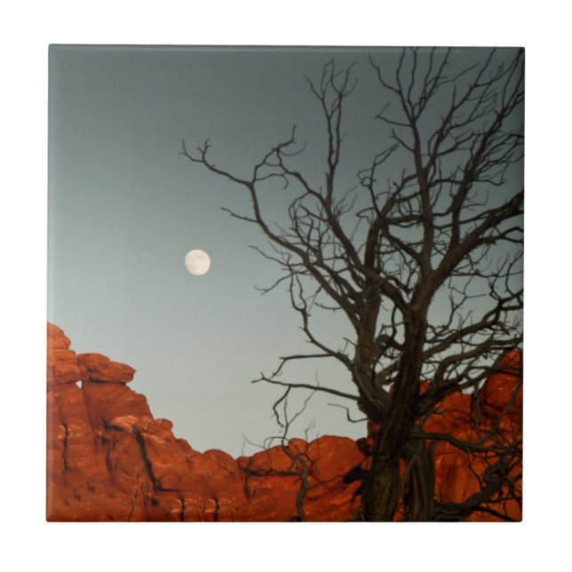 Wicked Moon Ceramic Tile (Front)