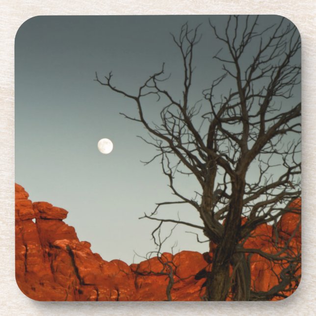 Wicked Moon Coaster (Front)