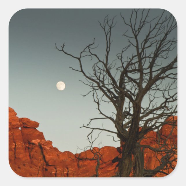 Wicked Moon Square Sticker (Front)