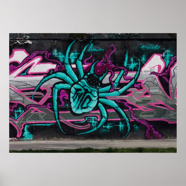 Wicked Turquoise Spider Poster (Front)