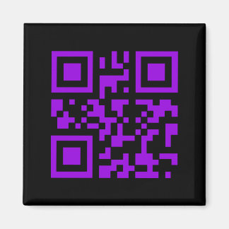 Wicked Witch Bar Code Magnet