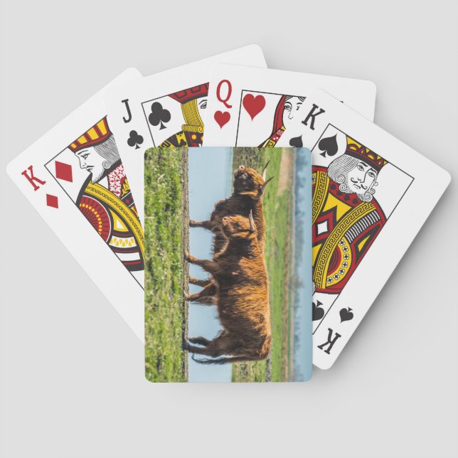 Wicken Fen cattle Playing Cards (Back)