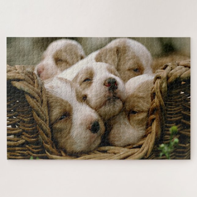 Wicker basket full of puppies sleeping jigsaw puzzle (Horizontal)