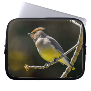 wide2 laptop sleeve