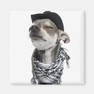 Wide-angle of a Chihuahua with his eyes closed Magnet