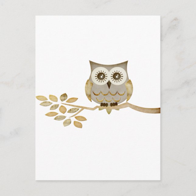 Wide Eyes Owl in Tree Postcard (Front)
