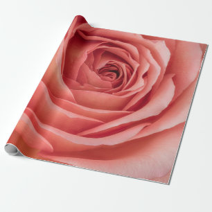 wide open orange pink rose blossom inner heart mac wrapping paper