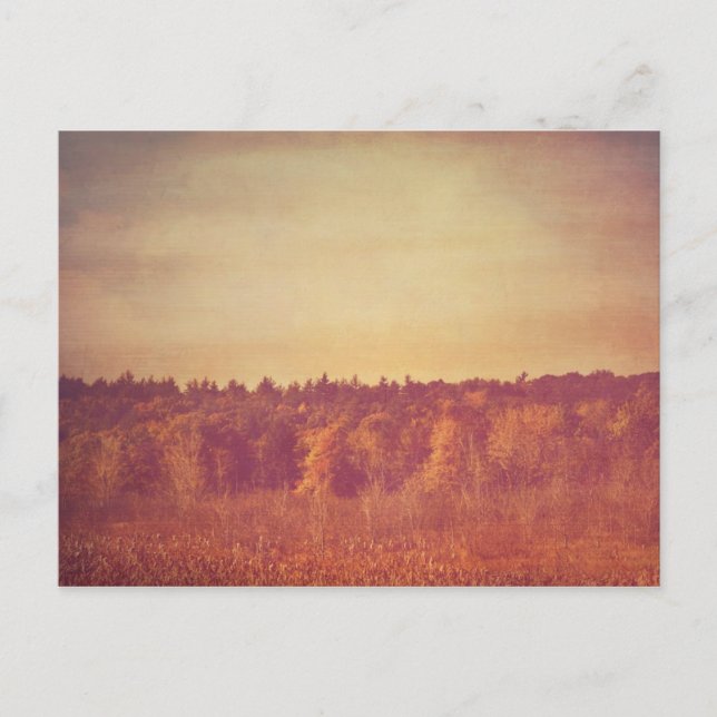 Wide Open Spaces Postcard (Front)