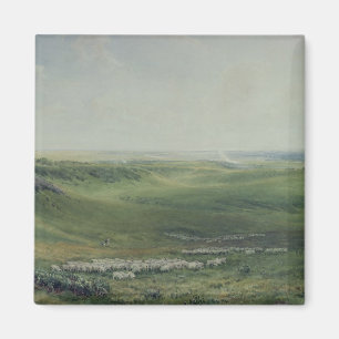 Wide Pastures, Sussex Magnet
