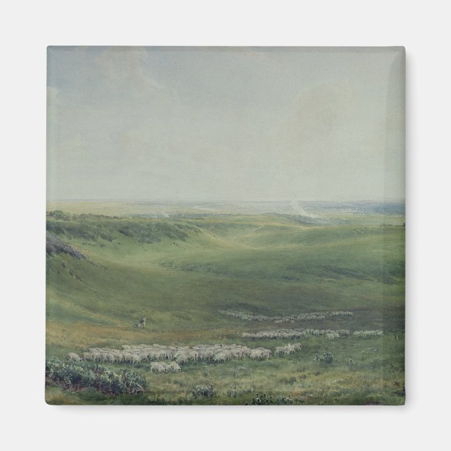 Wide Pastures, Sussex Magnet (Front)