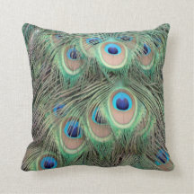 Wide Spreed Of Peacock Eyes