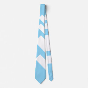 Wide Stripes Diagonal Light Blue Tie
