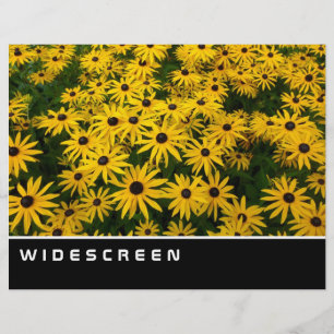 Widescreen - Black eyed Susans Flyer
