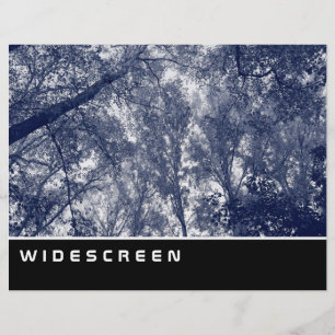 Widescreen - Blue Autumn Flyer