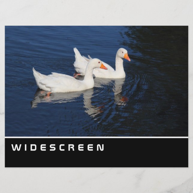 Widescreen - Emden Geese Flyer (Front)
