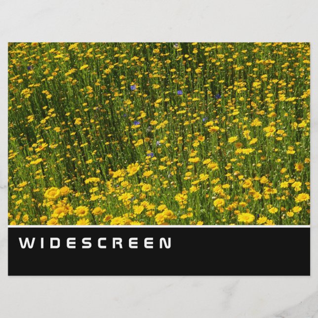 Widescreen - Field of Yellow Daisies Flyer (Front)