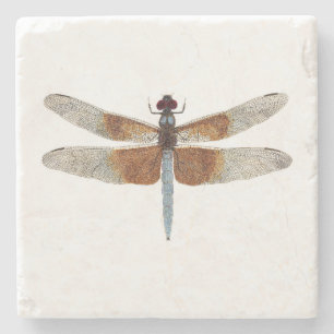 Widow Skimmer Dragonfly Coaster