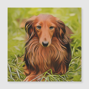 Wiener Brown Dachshund On Grass In The Garden Xmas