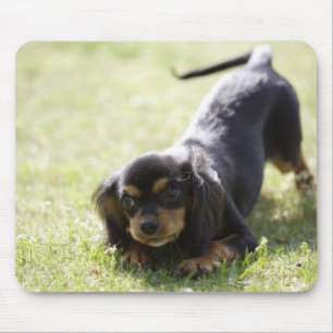 Wiener dog (black) mouse pad