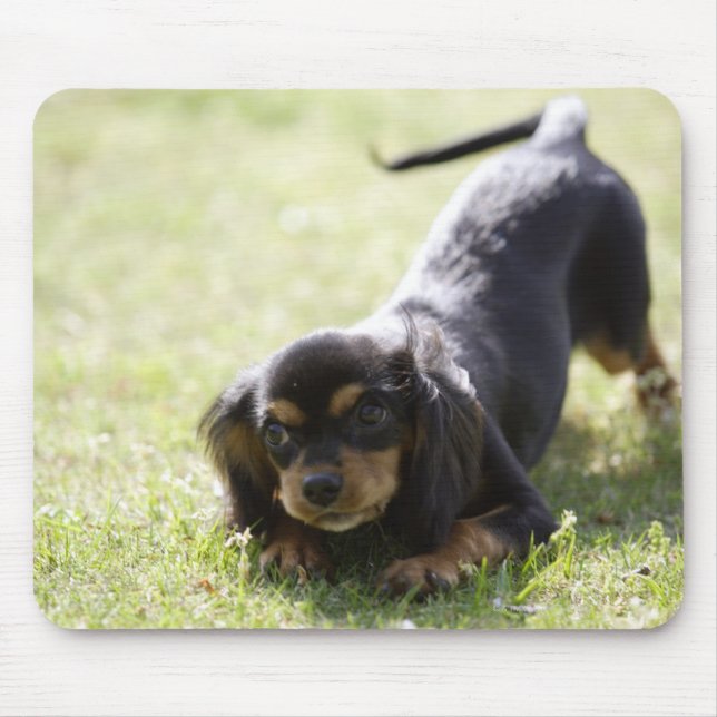 Wiener dog (black) mouse pad (Front)