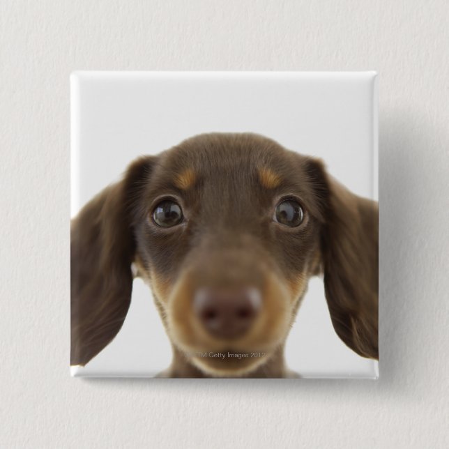 Wiener Dog (brown) 2 15 Cm Square Badge (Front)