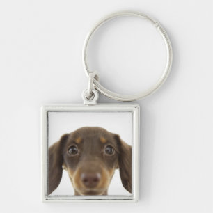 Wiener Dog (brown) 2 Key Ring