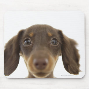 Wiener Dog (brown) 2 Mouse Pad