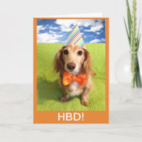 Wiener Dog HBD