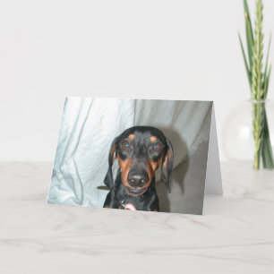 Wiener Words Card
