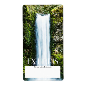 Wiesendanger Falls Painting Bookplate