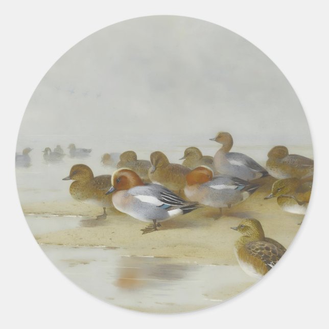 Wigeon and Teal by the water's edge, Art  Classic Round Sticker (Front)