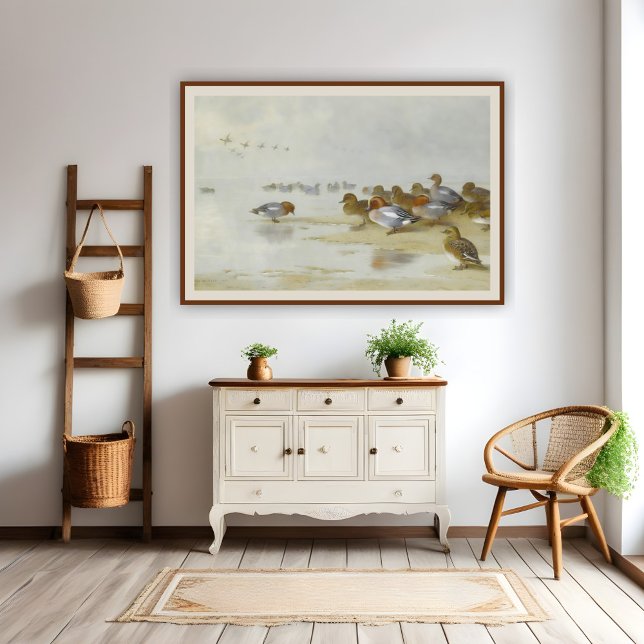 Wigeon and Teal by the water's edge, Art  Poster (Creator Uploaded)