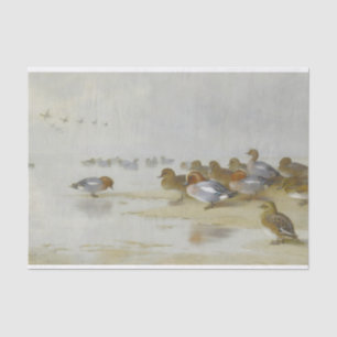 Wigeon and Teal by the water's edge, Art  Tissue Paper