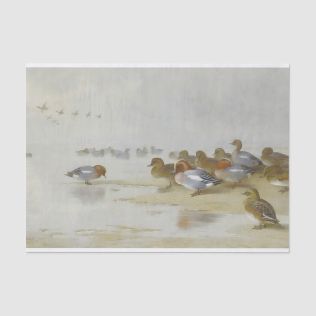 Wigeon and Teal by the water's edge, Art  Tissue Paper (Front)