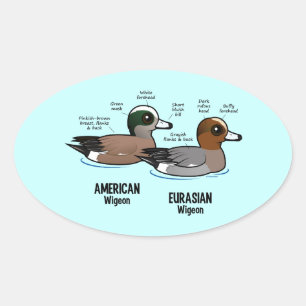 Wigeon vs Wigeon Oval Sticker