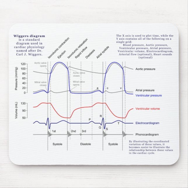 Wiggers Diagram Mouse Pad (Front)