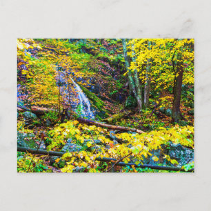 Wigwam Falls in Autumn, Virginia Postcard