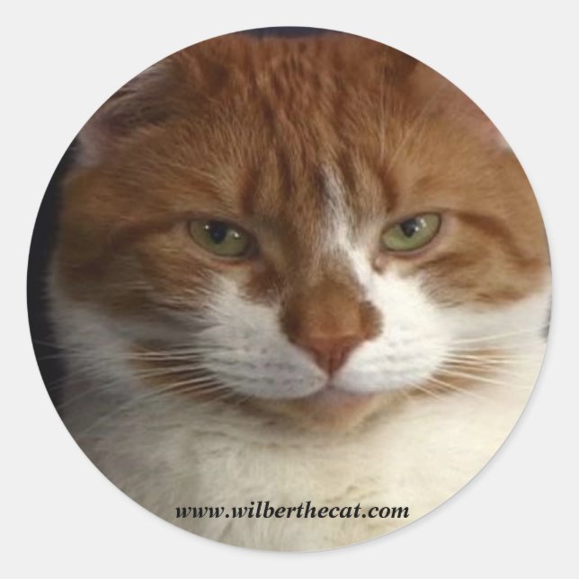 Wilber Sticker (Front)